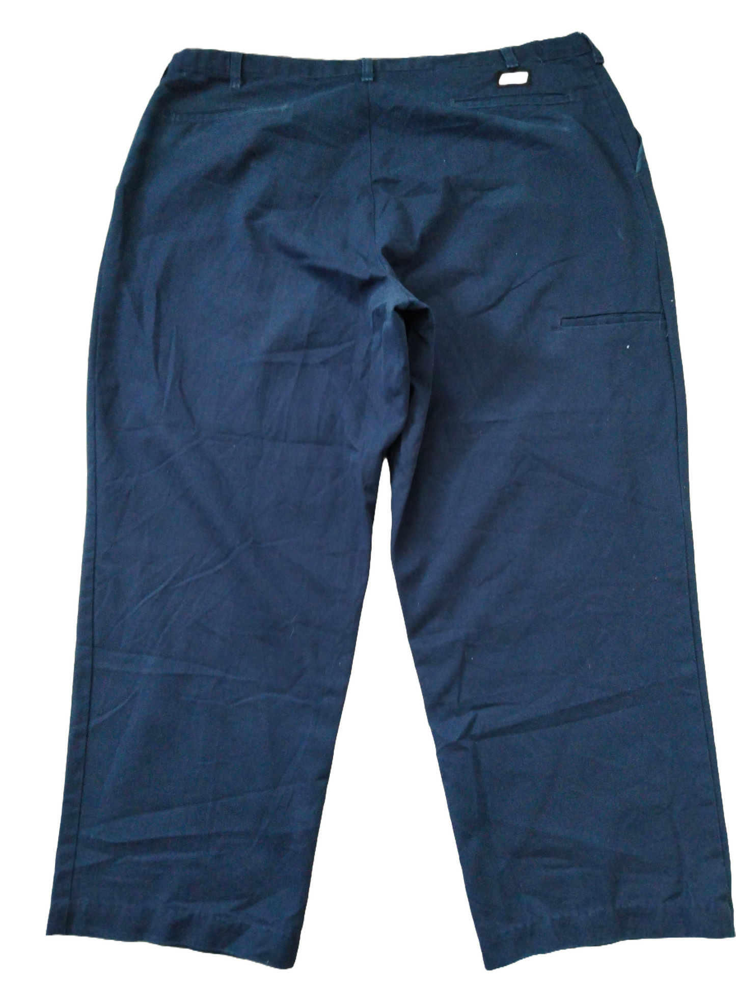 Dickies skaters